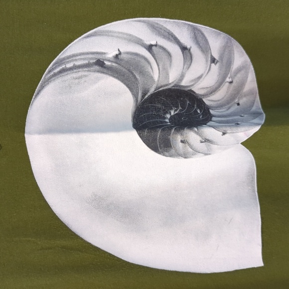 Norma Kamali Nautilus Seashell Short Sleeve Tee - Picture 8 of 16